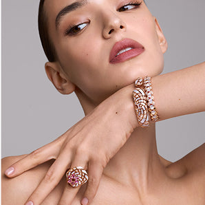 مجموعة ماركة بيجوك